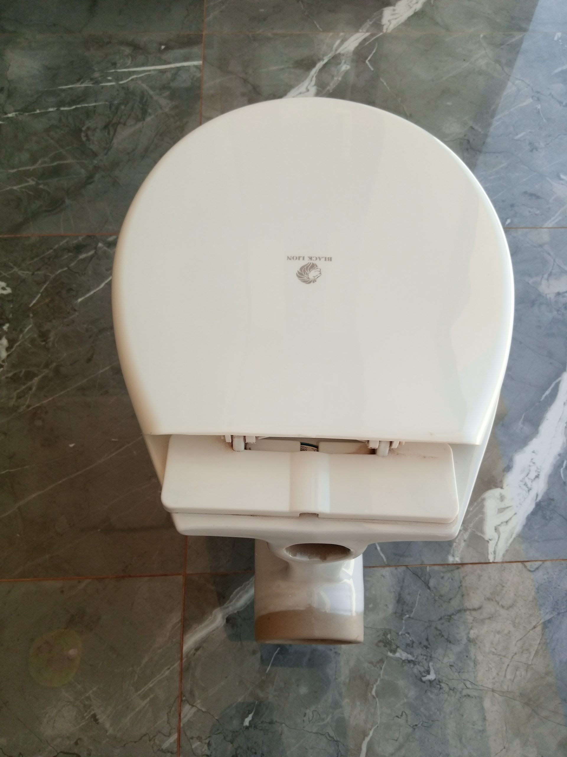 EWC Toilet bowl