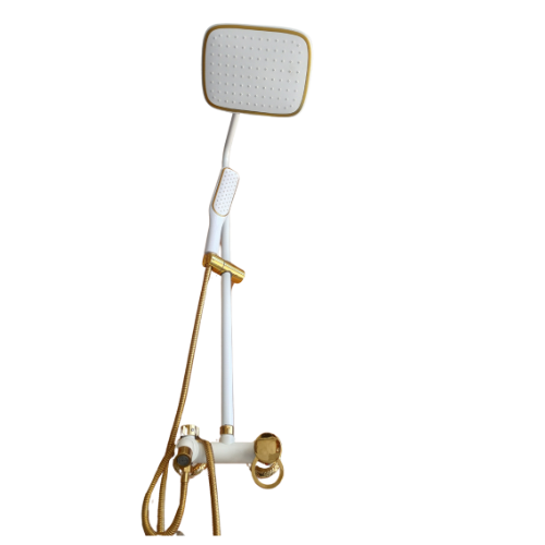 White and Gold 3 Way Shower