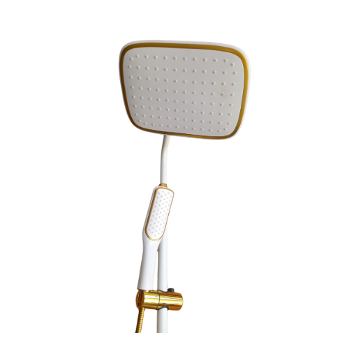 White and Gold 3 Way Shower