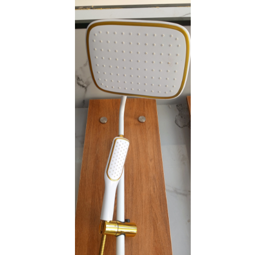 White and Gold 3 Way Shower