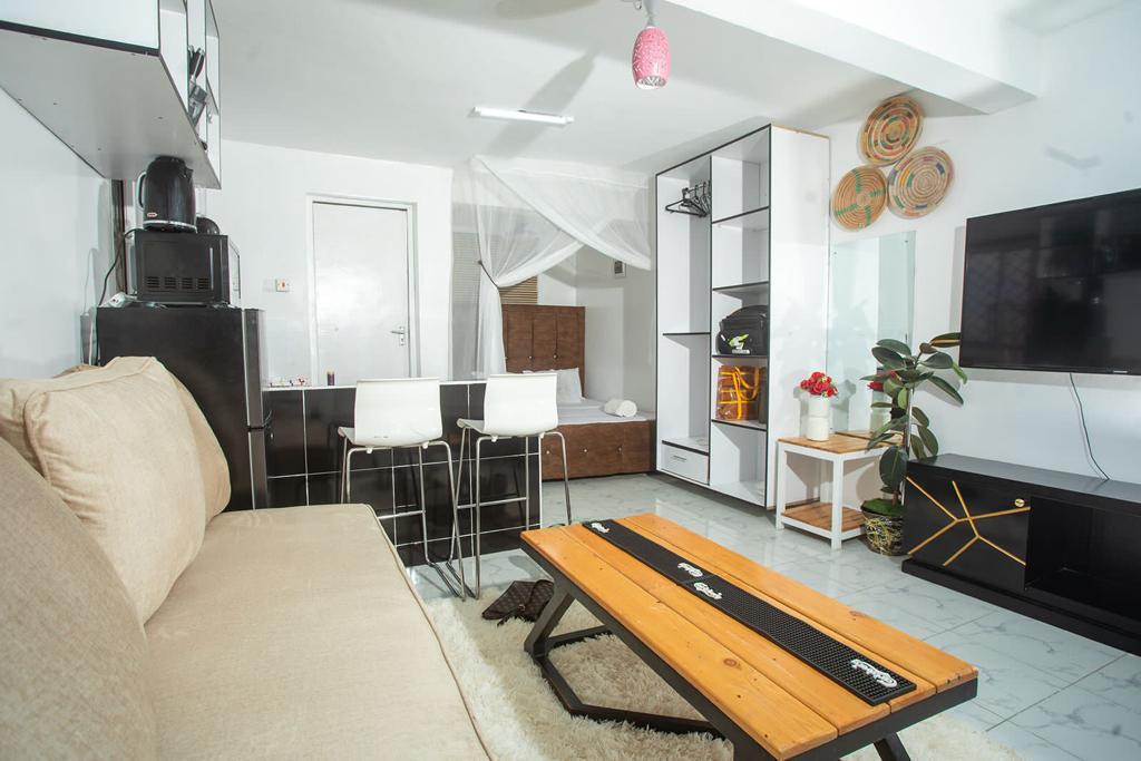 Studio Apartment (Penthouse)