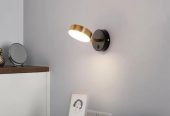 Black and Gold Wall Mount Lights